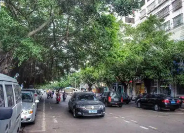 義龍路片區(qū)及萬國西路積水點(diǎn)改造工程基坑監(jiān)測(cè)